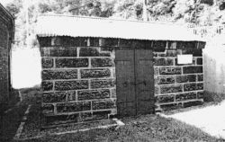 �댯�i�Ɂi����31�N�����j