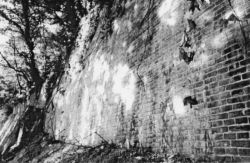 ���ˎV�� �i�ǁ@